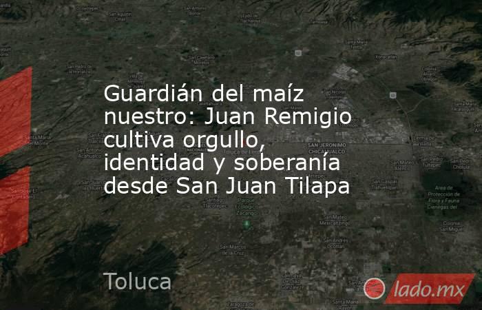 Guardián del maíz nuestro: Juan Remigio cultiva orgullo, identidad y soberanía desde San Juan Tilapa. Noticias en tiempo real
