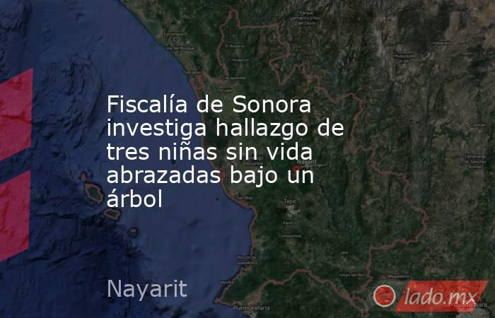 Fiscalía de Sonora investiga hallazgo de tres niñas sin vida abrazadas bajo un árbol. Noticias en tiempo real