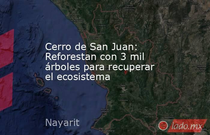 Cerro de San Juan: Reforestan con 3 mil árboles para recuperar el ecosistema. Noticias en tiempo real