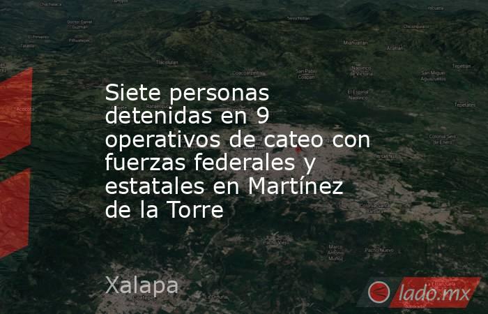 Siete personas detenidas en 9 operativos de cateo con fuerzas federales y estatales en Martínez de la Torre. Noticias en tiempo real