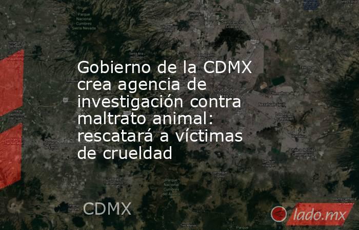 Gobierno de la CDMX crea agencia de investigación contra maltrato animal: rescatará a víctimas de crueldad. Noticias en tiempo real
