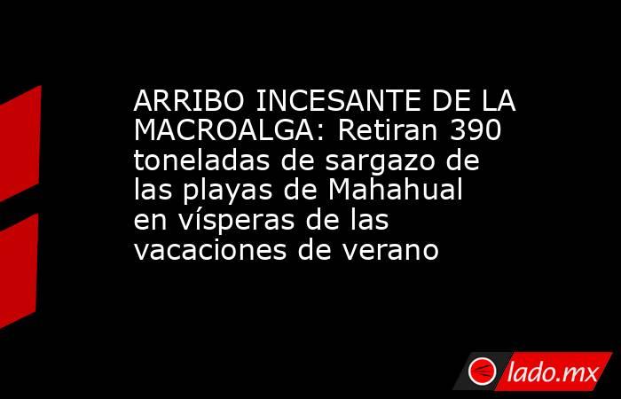 ARRIBO INCESANTE DE LA MACROALGA: Retiran 390 toneladas de sargazo de las playas de Mahahual en vísperas de las vacaciones de verano. Noticias en tiempo real