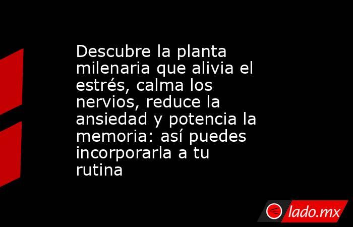 Descubre la planta milenaria que alivia el estrés, calma los nervios, reduce la ansiedad y potencia la memoria: así puedes incorporarla a tu rutina. Noticias en tiempo real