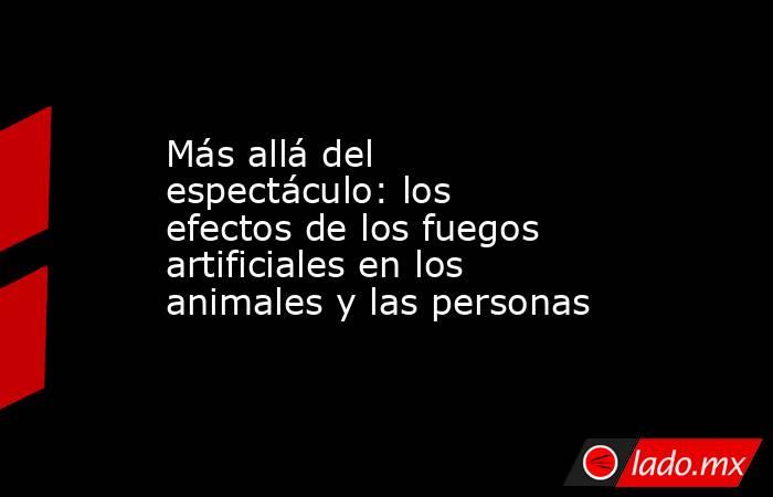 Más allá del espectáculo: los efectos de los fuegos artificiales en los animales y las personas. Noticias en tiempo real