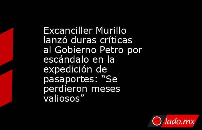 Excanciller Murillo lanzó duras críticas al Gobierno Petro por escándalo en la expedición de pasaportes: “Se perdieron meses valiosos” . Noticias en tiempo real