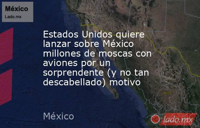 Estados Unidos quiere lanzar sobre México millones de moscas con aviones por un sorprendente (y no tan descabellado) motivo. Noticias en tiempo real