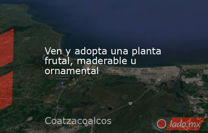 Ven y adopta una planta frutal, maderable u ornamental. Noticias en tiempo real