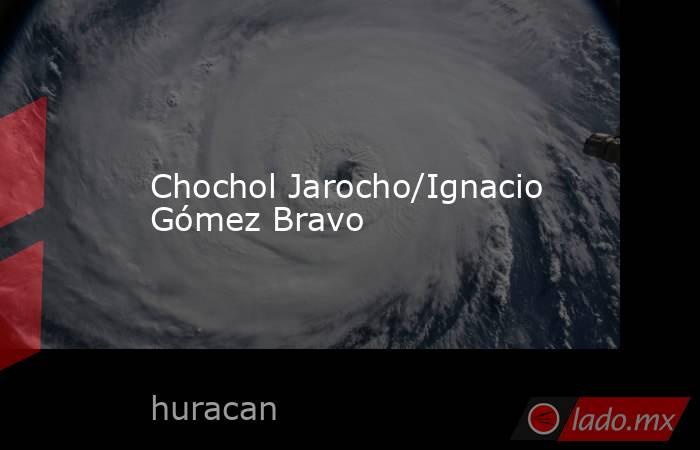 Chochol Jarocho/Ignacio Gómez Bravo. Noticias en tiempo real
