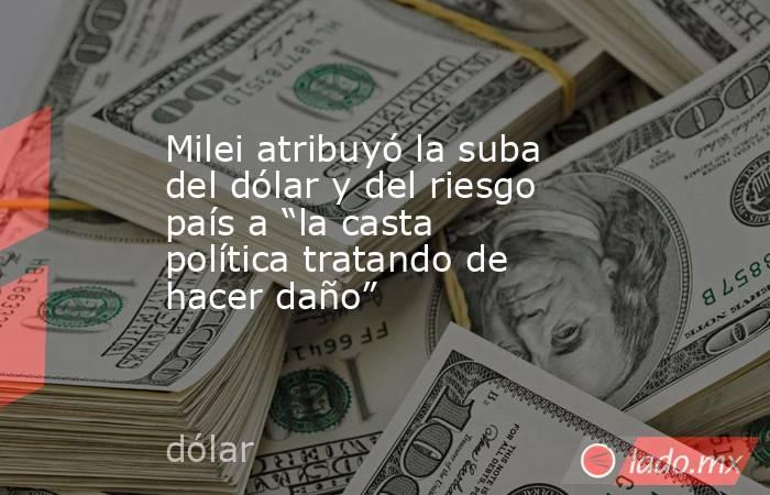 Milei atribuyó la suba del dólar y del riesgo país a “la casta política tratando de hacer daño”. Noticias en tiempo real