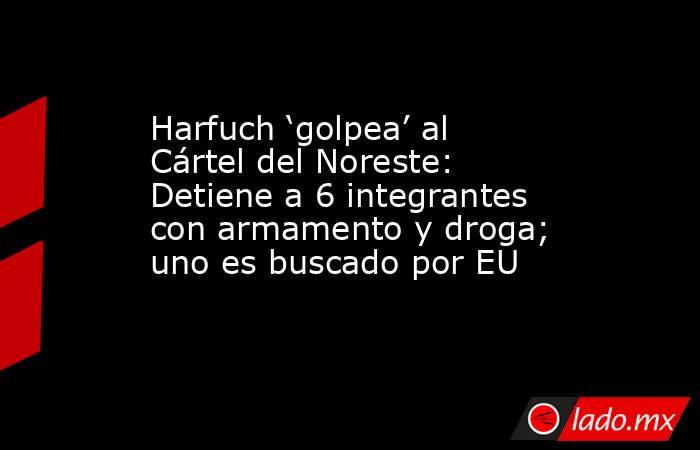 Harfuch ‘golpea’ al Cártel del Noreste: Detiene a 6 integrantes con armamento y droga; uno es buscado por EU. Noticias en tiempo real