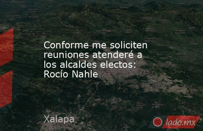 Conforme me soliciten reuniones atenderé a los alcaldes electos: Rocío Nahle. Noticias en tiempo real