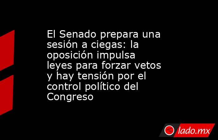 El Senado prepara una sesión a ciegas: la oposición impulsa leyes para forzar vetos y hay tensión por el control político del Congreso. Noticias en tiempo real