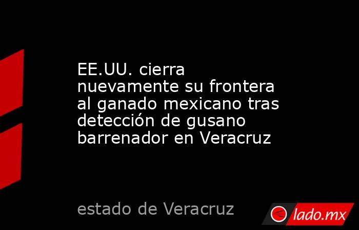 EE.UU. cierra nuevamente su frontera al ganado mexicano tras detección de gusano barrenador en Veracruz. Noticias en tiempo real