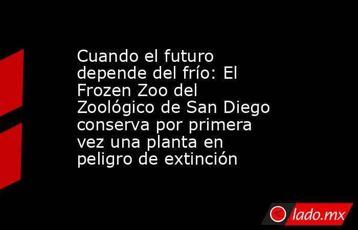 Cuando el futuro depende del frío: El Frozen Zoo del Zoológico de San Diego conserva por primera vez una planta en peligro de extinción. Noticias en tiempo real