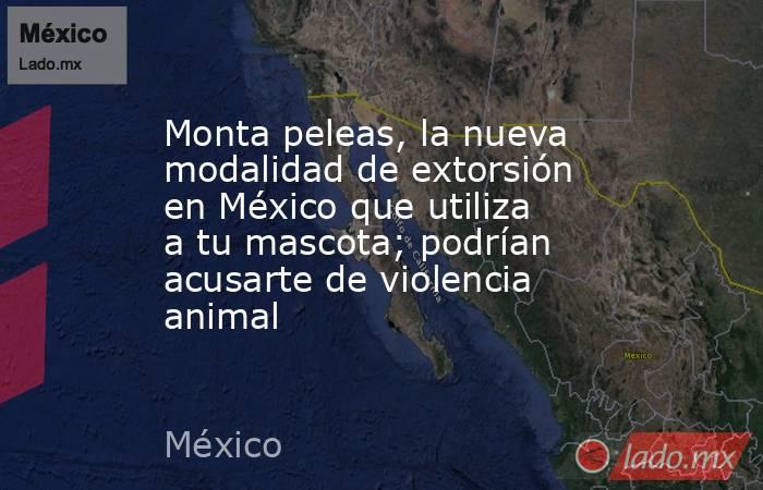 Monta peleas, la nueva modalidad de extorsión en México que utiliza a tu mascota; podrían acusarte de violencia animal. Noticias en tiempo real