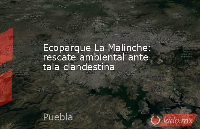 Ecoparque La Malinche: rescate ambiental ante tala clandestina. Noticias en tiempo real