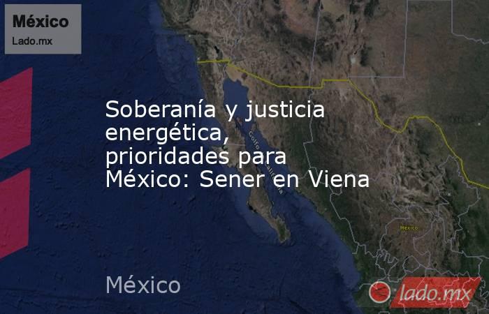 Soberanía y justicia energética, prioridades para México: Sener en Viena. Noticias en tiempo real