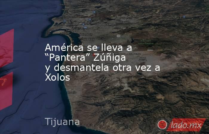 América se lleva a “Pantera” Zúñiga y desmantela otra vez a Xolos. Noticias en tiempo real