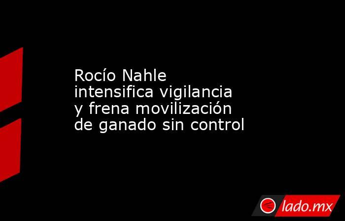 Rocío Nahle intensifica vigilancia y frena movilización de ganado sin control. Noticias en tiempo real