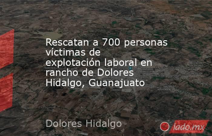 Rescatan a 700 personas víctimas de explotación laboral en rancho de Dolores Hidalgo, Guanajuato. Noticias en tiempo real