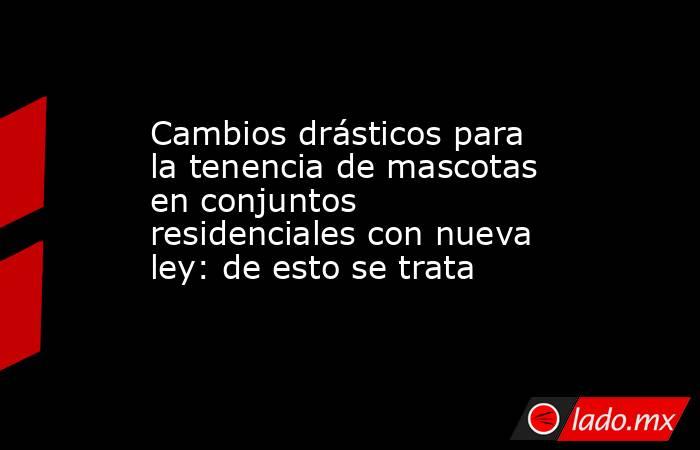Cambios drásticos para la tenencia de mascotas en conjuntos residenciales con nueva ley: de esto se trata. Noticias en tiempo real