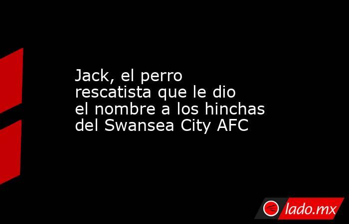 Jack, el perro rescatista que le dio el nombre a los hinchas del Swansea City AFC . Noticias en tiempo real