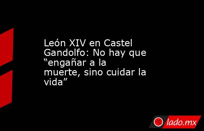León XIV en Castel Gandolfo: No hay que “engañar a la muerte, sino cuidar la vida”. Noticias en tiempo real