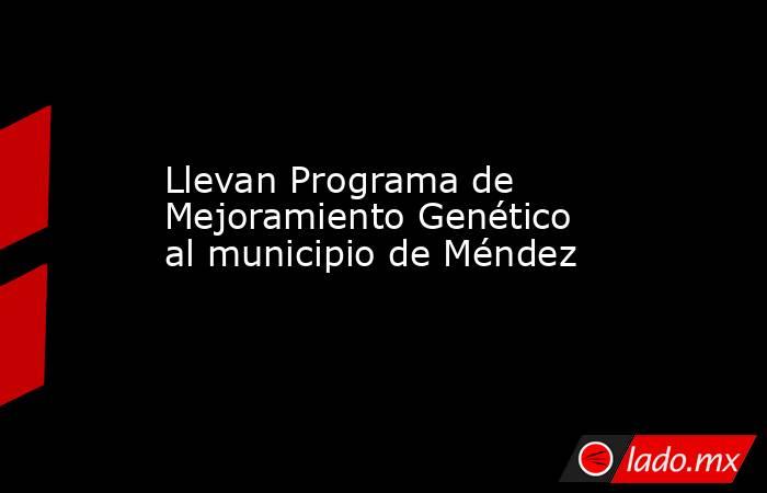 Llevan Programa de Mejoramiento Genético al municipio de Méndez. Noticias en tiempo real