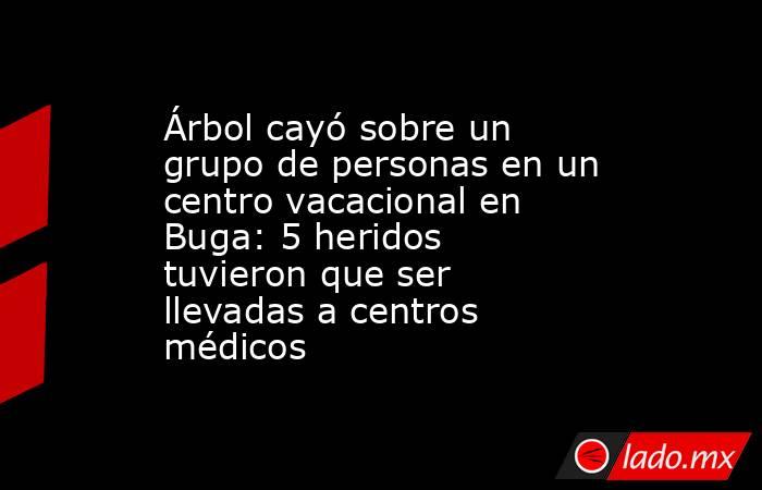 Árbol cayó sobre un grupo de personas en un centro vacacional en Buga: 5 heridos tuvieron que ser llevadas a centros médicos. Noticias en tiempo real