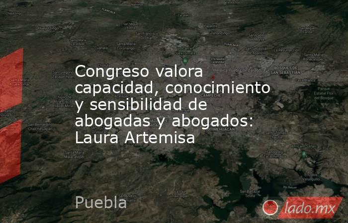 Congreso valora capacidad, conocimiento y sensibilidad de abogadas y abogados: Laura Artemisa. Noticias en tiempo real