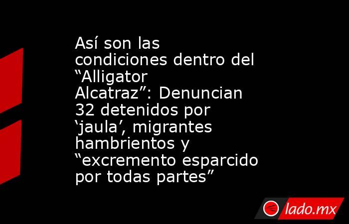 Así son las condiciones dentro del “Alligator Alcatraz”: Denuncian 32 detenidos por ‘jaula’, migrantes hambrientos y “excremento esparcido por todas partes”. Noticias en tiempo real