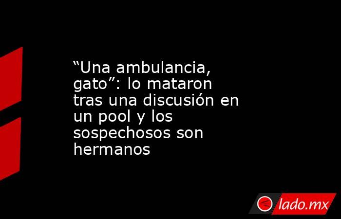 “Una ambulancia, gato”: lo mataron tras una discusión en un pool y los sospechosos son hermanos. Noticias en tiempo real