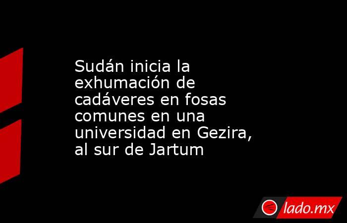 Sudán inicia la exhumación de cadáveres en fosas comunes en una universidad en Gezira, al sur de Jartum. Noticias en tiempo real