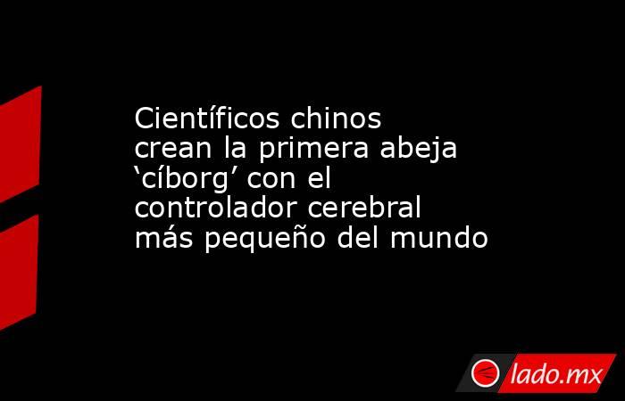 Científicos chinos crean la primera abeja ‘cíborg’ con el controlador cerebral más pequeño del mundo. Noticias en tiempo real