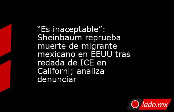 “Es inaceptable”: Sheinbaum reprueba muerte de migrante mexicano en EEUU tras redada de ICE en Californi; analiza denunciar. Noticias en tiempo real