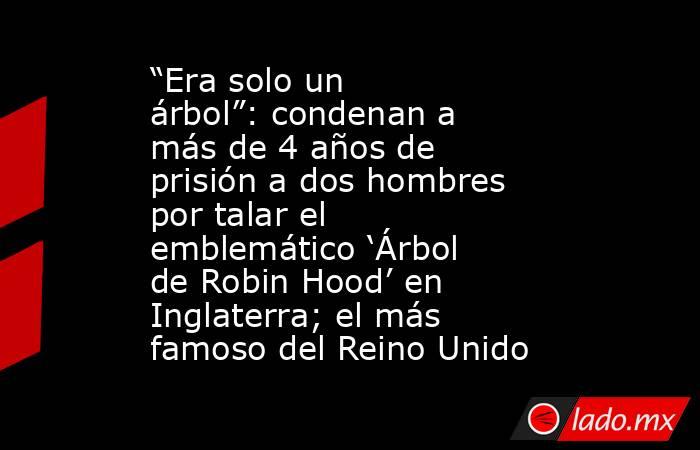 “Era solo un árbol”: condenan a más de 4 años de prisión a dos hombres por talar el emblemático ‘Árbol de Robin Hood’ en Inglaterra; el más famoso del Reino Unido. Noticias en tiempo real