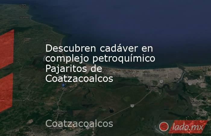 Descubren cadáver en complejo petroquímico Pajaritos de Coatzacoalcos. Noticias en tiempo real