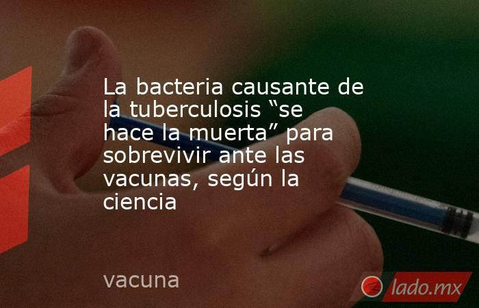 La bacteria causante de la tuberculosis “se hace la muerta” para sobrevivir ante las vacunas, según la ciencia. Noticias en tiempo real