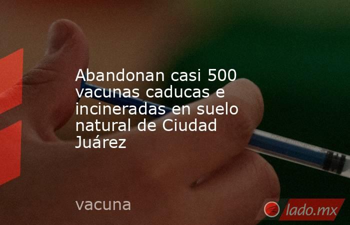 Abandonan casi 500 vacunas caducas e incineradas en suelo natural de Ciudad Juárez. Noticias en tiempo real