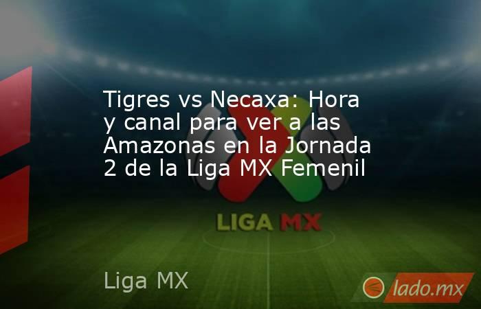 Tigres vs Necaxa: Hora y canal para ver a las Amazonas en la Jornada 2 de la Liga MX Femenil. Noticias en tiempo real