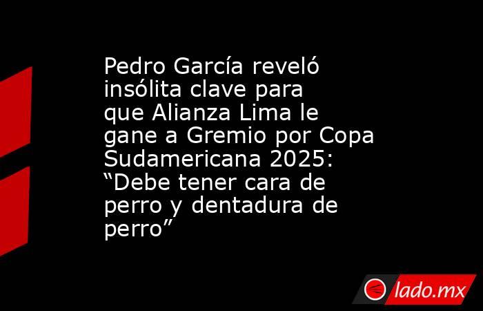 Pedro García reveló insólita clave para que Alianza Lima le gane a Gremio por Copa Sudamericana 2025: “Debe tener cara de perro y dentadura de perro” . Noticias en tiempo real