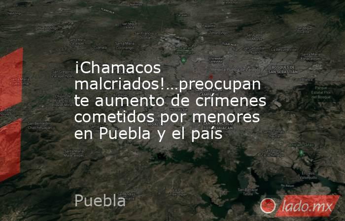 ¡Chamacos malcriados!…preocupante aumento de crímenes cometidos por menores en Puebla y el país. Noticias en tiempo real