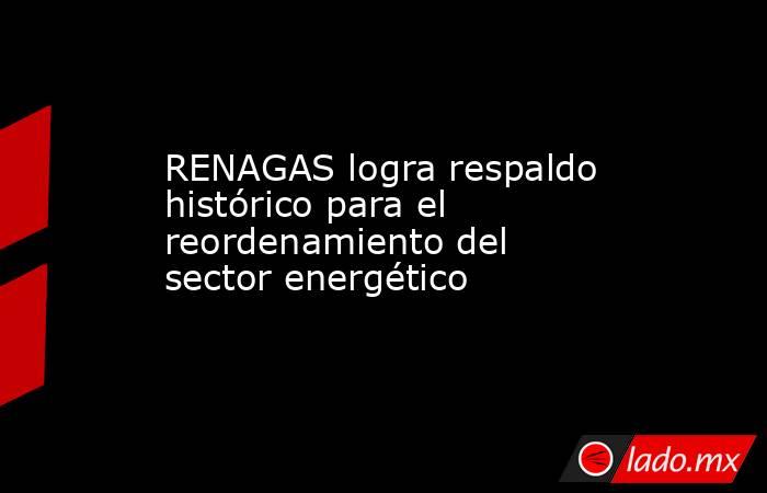 RENAGAS logra respaldo histórico para el reordenamiento del sector energético . Noticias en tiempo real