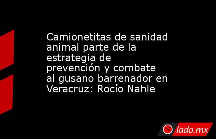 Camionetitas de sanidad animal parte de la estrategia de prevención y combate al gusano barrenador en Veracruz: Rocío Nahle. Noticias en tiempo real