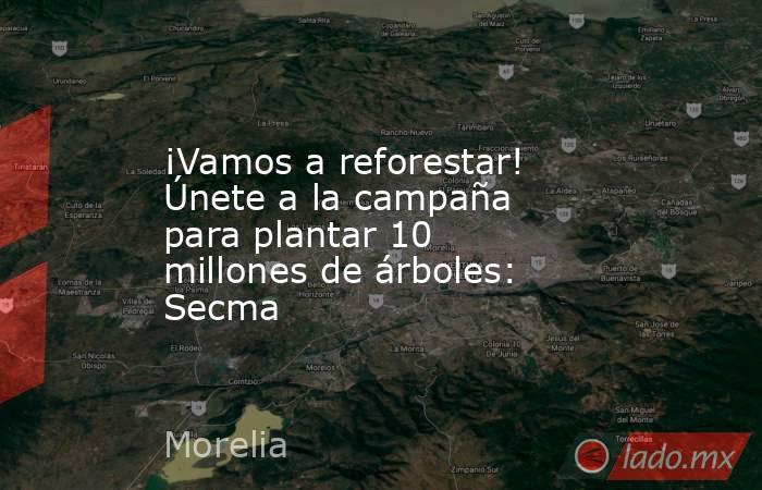 ¡Vamos a reforestar! Únete a la campaña para plantar 10 millones de árboles: Secma. Noticias en tiempo real