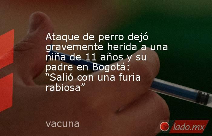 Ataque de perro dejó gravemente herida a una niña de 11 años y su padre en Bogotá:  “Salió con una furia rabiosa”. Noticias en tiempo real