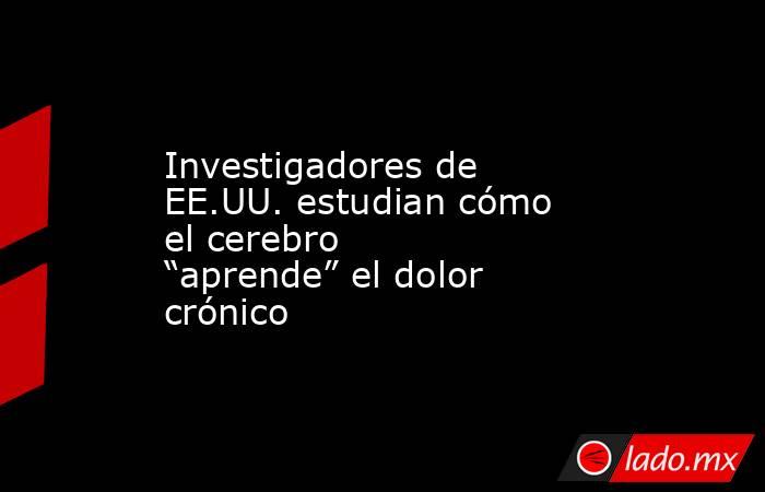 Investigadores de EE.UU. estudian cómo el cerebro “aprende” el dolor crónico. Noticias en tiempo real