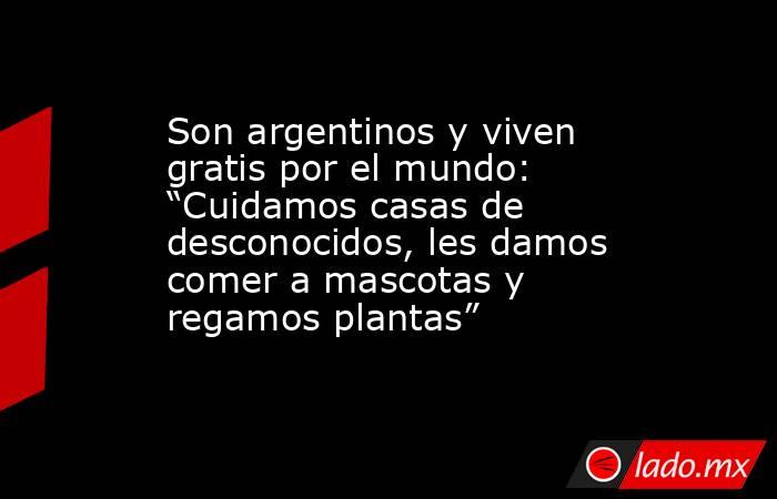 Son argentinos y viven gratis por el mundo: “Cuidamos casas de desconocidos, les damos comer a mascotas y regamos plantas”. Noticias en tiempo real