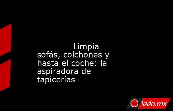                                                                                                                                      Limpia sofás, colchones y hasta el coche: la aspiradora de tapicerías                                                     . Noticias en tiempo real