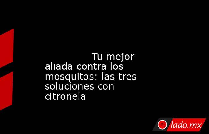                                                                                                                                       Tu mejor aliada contra los mosquitos: las tres soluciones con citronela                                                  . Noticias en tiempo real